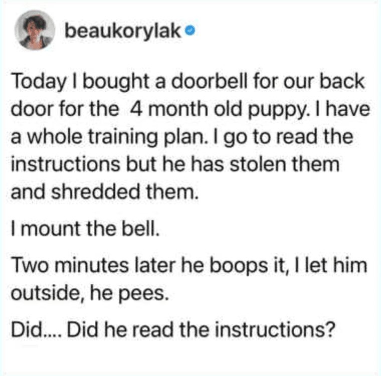 brilliant pet meme story about buying a back door bell for a puppy who immediately shreds the training instructions, but then miraculously boops the bell perfectly to go pee two minutes later, leaving the owner wondering if the dog actually read them first.