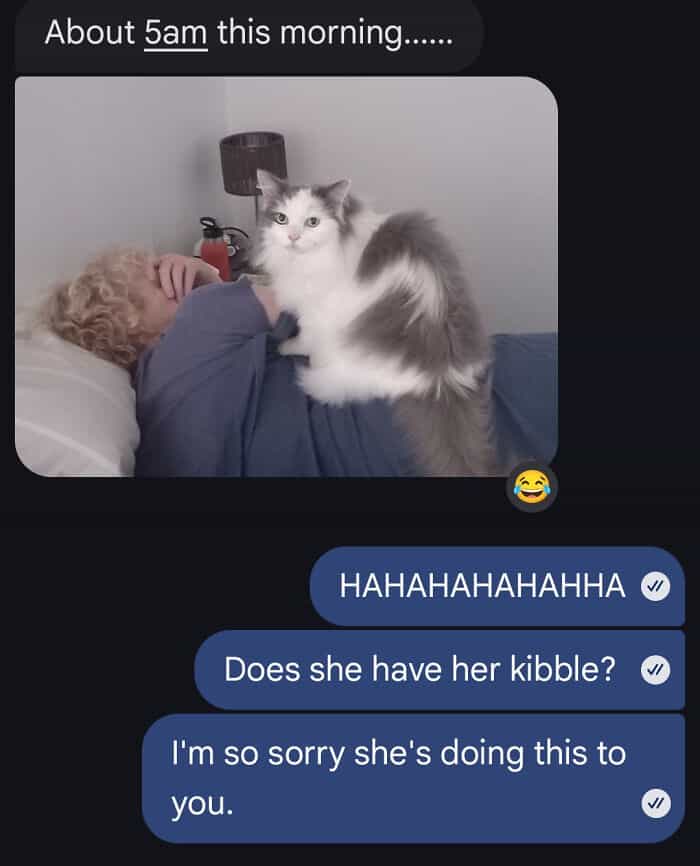 Fluffy cat sitting on a sleeping person's chest at 5am in a text message screenshot.