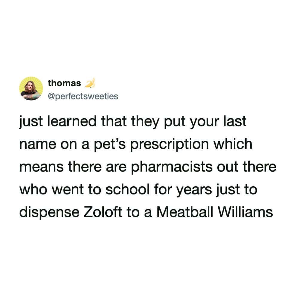 A wholesome and funny pharmacy meme tweet by thomas (@perfectsweeties). He realizes that because pets use their owner's last name, highly educated pharmacists spend their shifts dispensing Zoloft to patients with names like "Meatball Williams."
