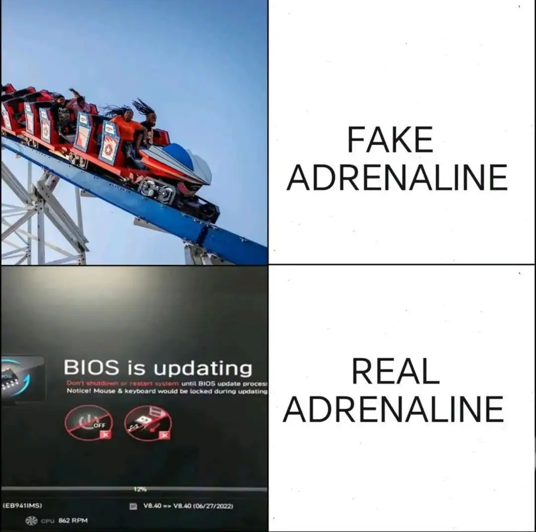 A programming meme comparing "FAKE ADRENALINE" (people screaming on a roller coaster) to "REAL ADRENALINE" (a computer screen displaying a high-stakes "BIOS is updating" warning).