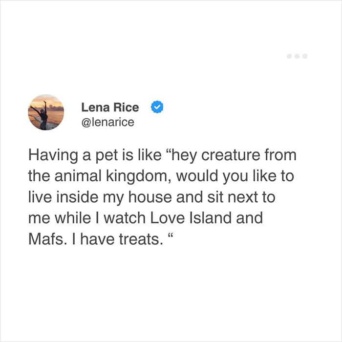 relatable meme tweet from Lena Rice that deconstructs pet ownership. She describes the bizarre act of inviting a "creature from the animal kingdom" to live in a house and watch reality TV shows like Love Island and MAFS in exchange for treats.