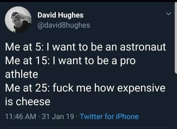A relatable meme tweet from David Hughes tracking the decline of childhood ambition. It moves from wanting to be an astronaut at age 5 to a pro athlete at 15, finally landing at age 25 with: "fuck me how expensive is cheese."