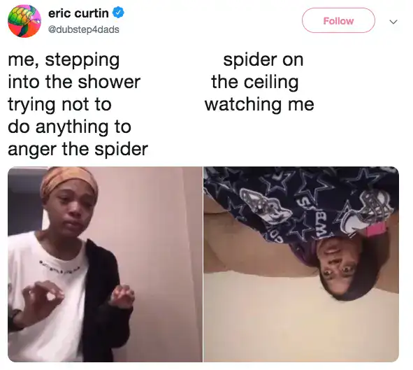 hilarious two-panel relatable meme by Eric Curtin regarding bathroom arachnids. One side shows a person trying to shower without "angering the spider," while the other shows a person upside down representing the spider on the ceiling watching them.