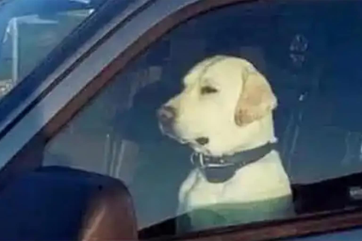 The April 01 relatable memes collection is a high-octane archive of the mundane anxieties and domestic power struggles that define modern adult life