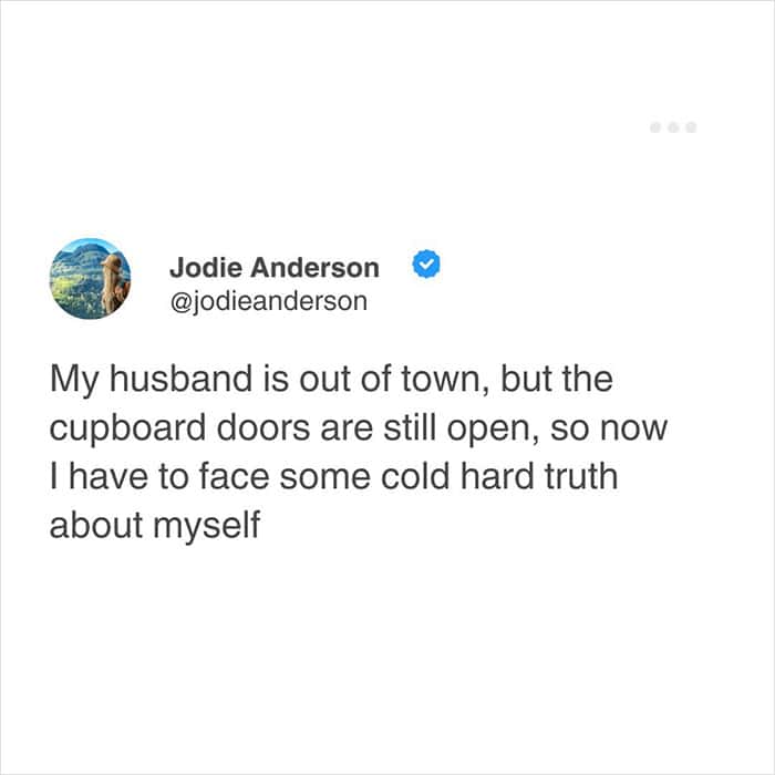 A hilarious relatable meme about a wife realizing she is the actual problem after her husband goes out of town but the kitchen cupboard doors are still mysteriously being left wide open.