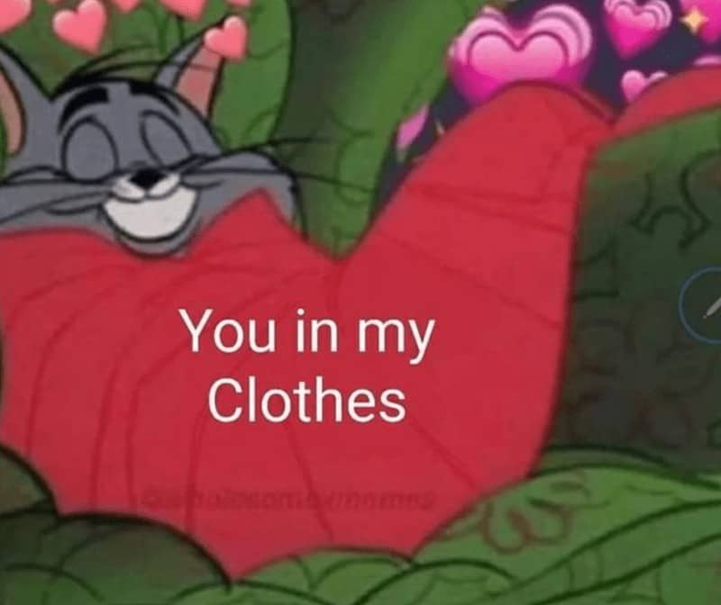 relationship meme featuring Tom from Tom and Jerry tucked into a massive red heart-shaped blanket. He has a wide, contented grin and is surrounded by heart emojis. The caption reads: "You in my Clothes."