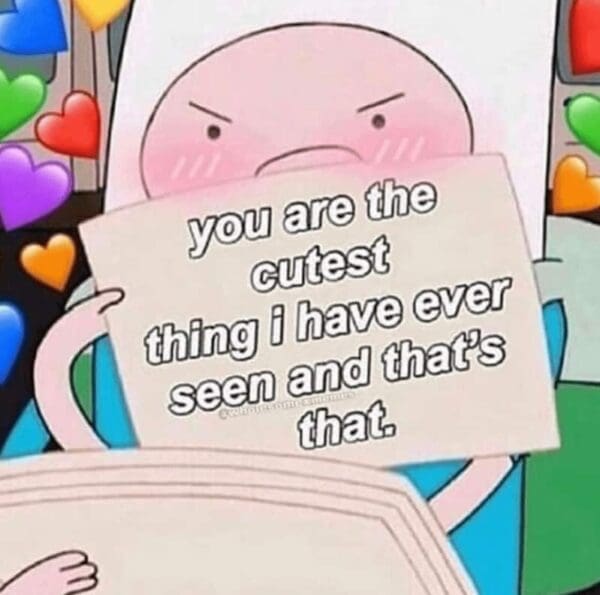 cute and aggressive relationship meme featuring a round, pink cartoon character blushing while holding up a sign that states, "you are the cutest thing i have ever seen and that's that." The image is decorated with a border of multicolored floating hearts
