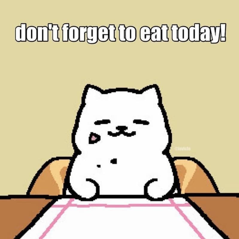 relationship meme showing a simple pixel-art illustration of a white cat sitting behind a table with a pink-bordered tablecloth. Large text above the cat reminds the viewer: "don't forget to eat today!"