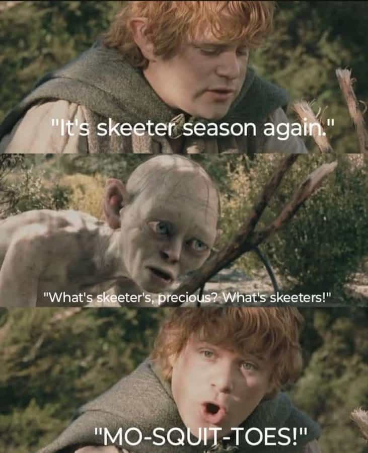 A dialogue meme with Samwise and Gollum punning on the word "mosquitoes" using Sam’s potato cadence.