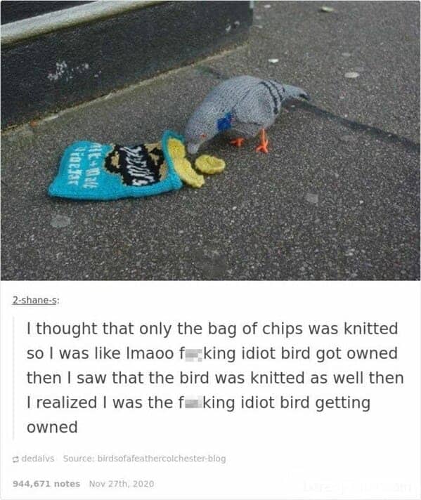 Viral image of a knitted pigeon eating from a knitted bag of salt and vinegar chips.