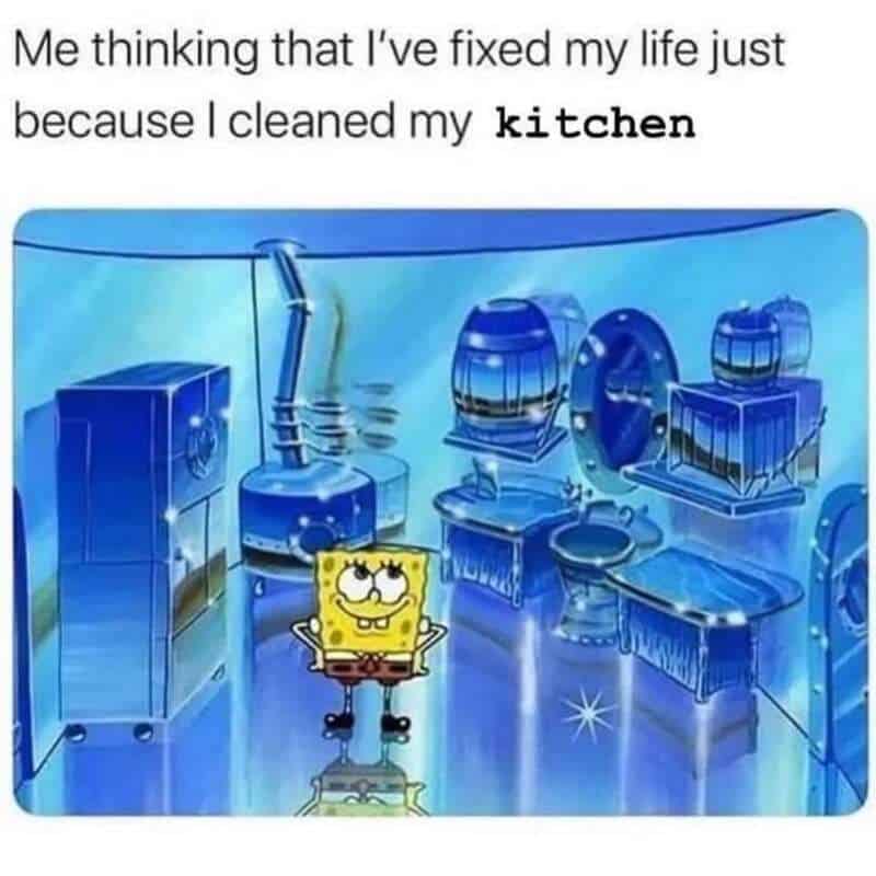 SpongeBob standing in a sparkling chrome kitchen feeling like he has fixed his entire life.