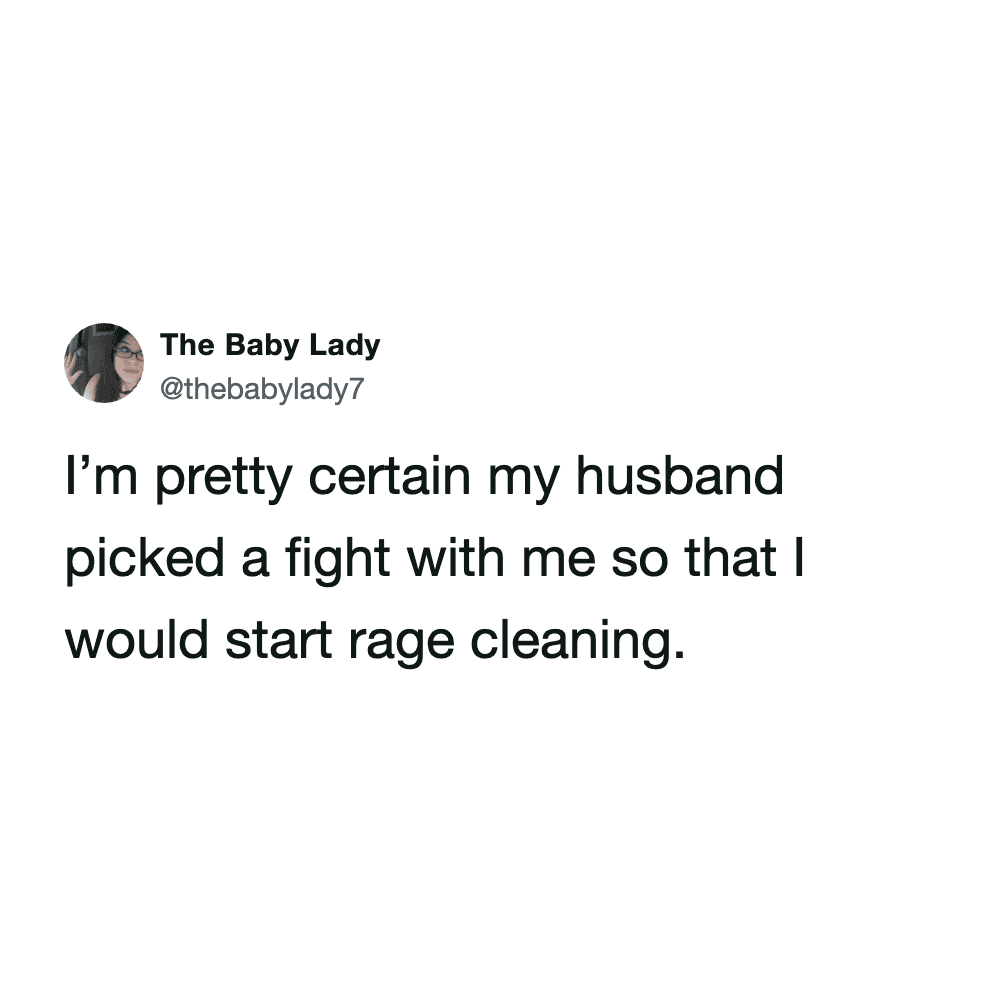 suspicious spring cleaning meme from @thebabylady7. The text-based post details a possible marital manipulation tactic: "I'm pretty certain my husband picked a fight with me so that I would start rage cleaning."