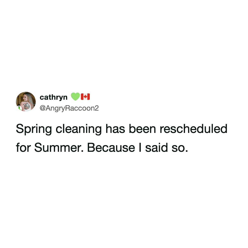 A relatable spring cleaning meme from user @AngryRaccoon2. The text-only image captures the spirit of procrastination, stating: "Spring cleaning has been rescheduled for Summer. Because I said so."