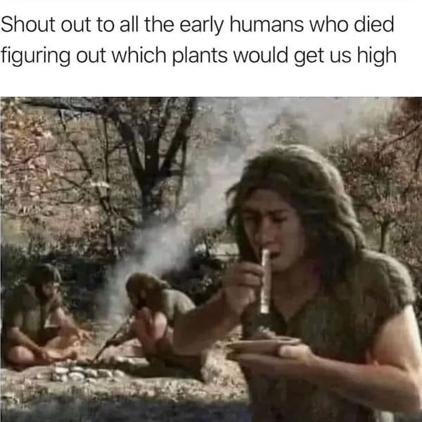stoner meme showing ancient cavemen smoking around a fire, humorously paying absolute respect and shouting out the early humans who bravely risked their lives to discover exactly which plants could get them high in this historic weed meme.