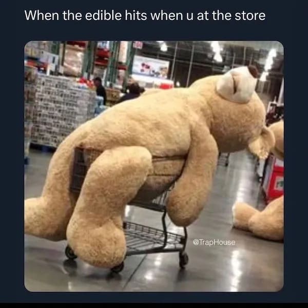 accurate stoner meme featuring a massive, life-sized plush teddy bear utterly slumped and passed out over a grocery cart, flawlessly capturing the exact physical toll of an edible hitting while walking through a massive warehouse store in this weed meme.