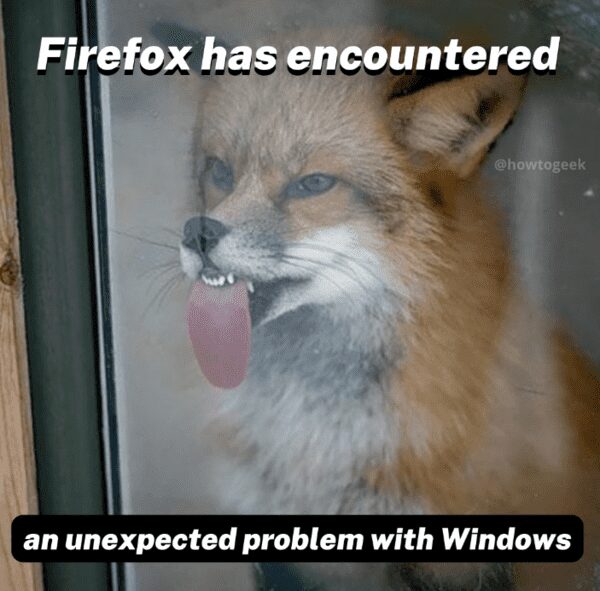 Funny Firefox meme featuring a fox licking a glass window to represent browser connectivity issues.