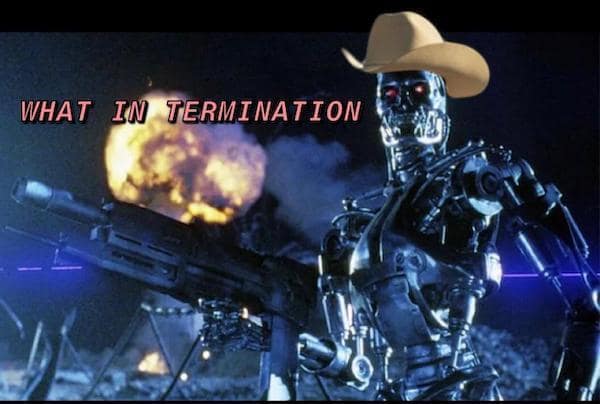 comedic Terminator meme featuring the silver T-800 endoskeleton wearing a large tan cowboy hat. The metal skeleton is holding a futuristic plasma rifle amidst a battlefield explosion. Pink text to the left sarcastically asks, "WHAT IN TERMINATION," playing on the classic "what in tarnation" internet meme format.