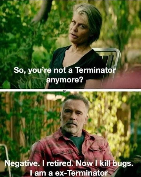 A pun-based Terminator meme featuring Linda Hamilton and Arnold Schwarzenegger in a scene from Terminator: Dark Fate. When Sarah Connor asks if he isn't a Terminator anymore, the aging T-800 (Carl) deadpans, "Negative. I retired. Now I kill bugs. I am a ex-Terminator," playing on the word "exterminator."