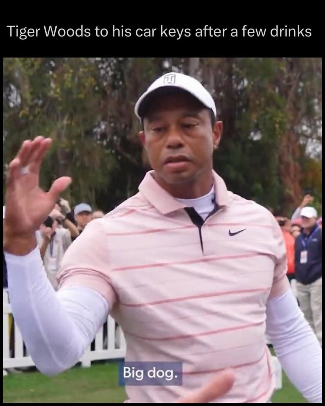 A Tiger Woods crash meme using a photo of the golfer in a pink Sunday polo gesturing to the side. The caption mockingly imagines him talking to his vehicle after a night out: "Tiger Woods to his car keys after a few drinks... Big dog."