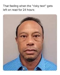 viral Tiger woods DUI meme featuring his famous 2017 mugshot with tired eyes and disheveled hair, used to illustrate the relatable anxiety of having a "risky text" left on read for 24 hours.