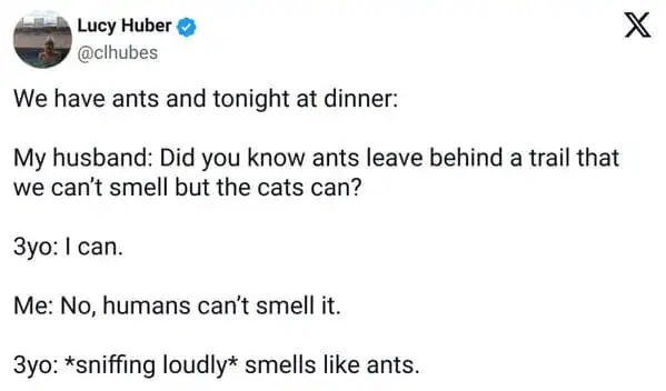 A funny tweet about the imaginary "superpowers" found when raising 3 year olds. After being told humans can’t smell ant trails, a toddler sniffs the air loudly and confidently declares, "smells like ants."