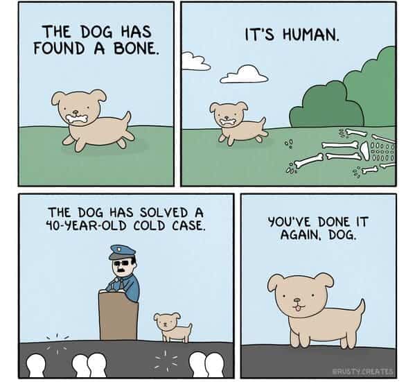 A cute dog finds a human bone and solves a forty year old cold case file.