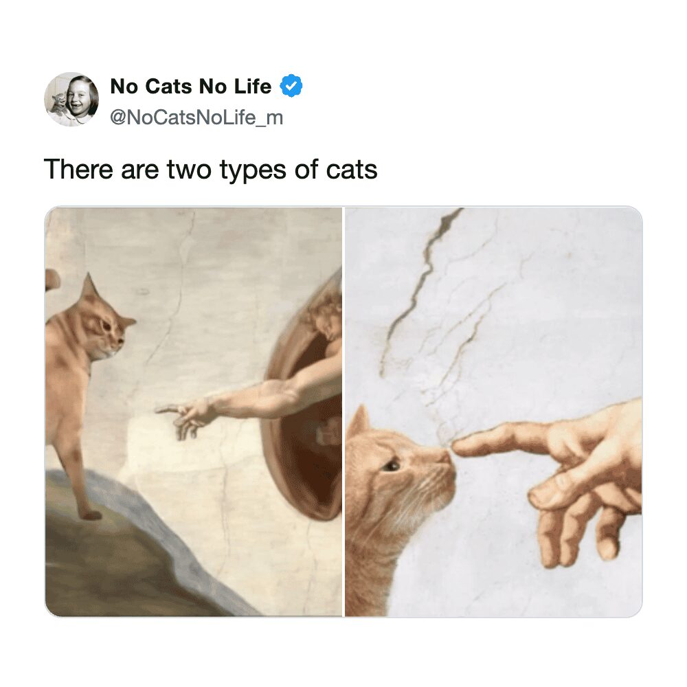 Two-panel meme featuring cats photoshopped into Michelangelo's Creation of Adam painting with a judgmental gaze.