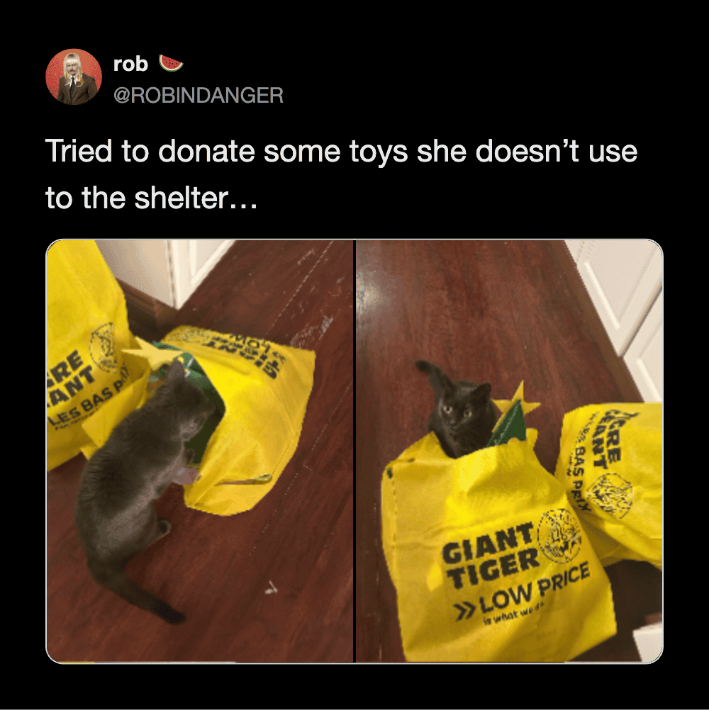 Black cat sitting inside a bright yellow Giant Tiger shopping bag filled with toys.
