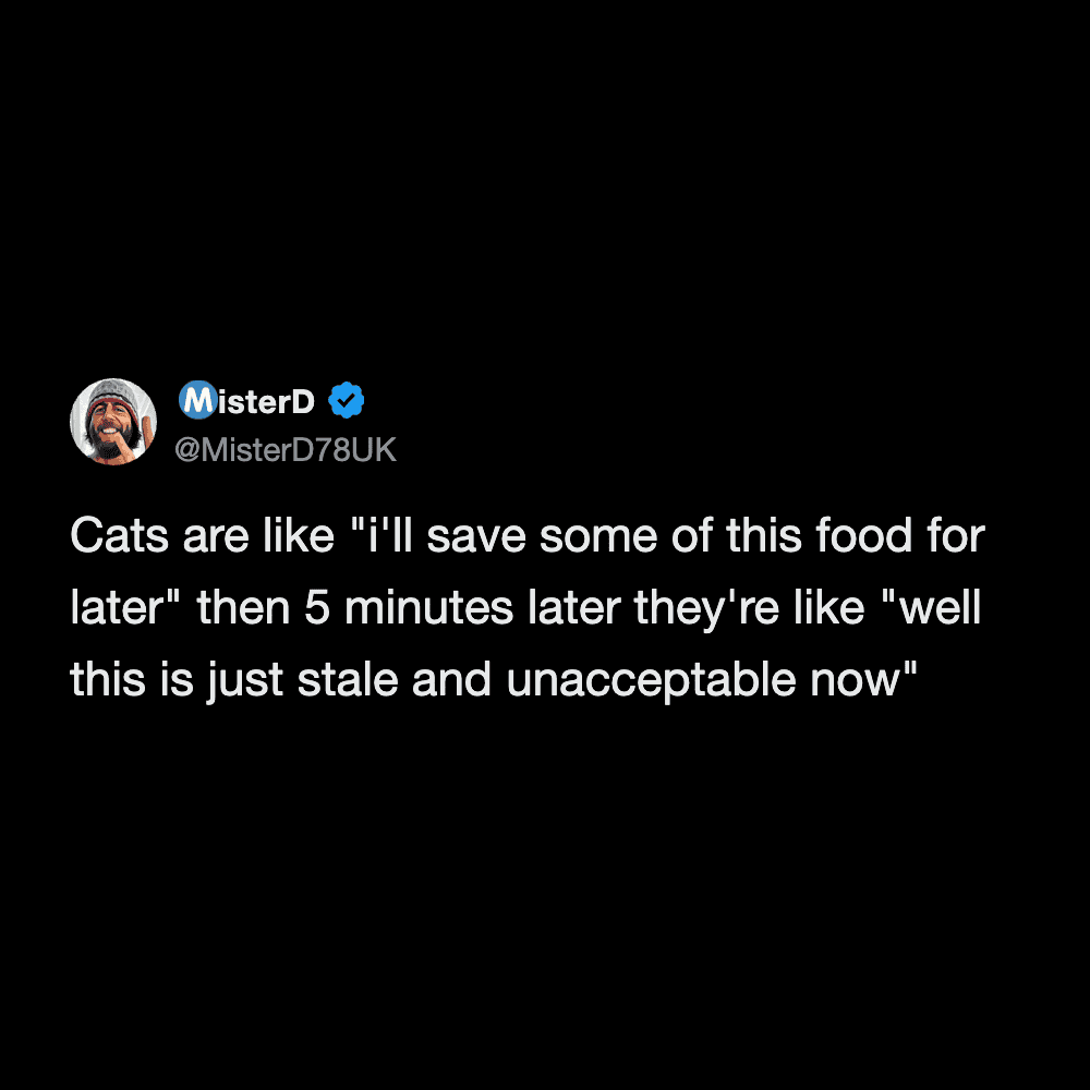 Tweet about cats deciding their food is stale and unacceptable only five minutes after eating.