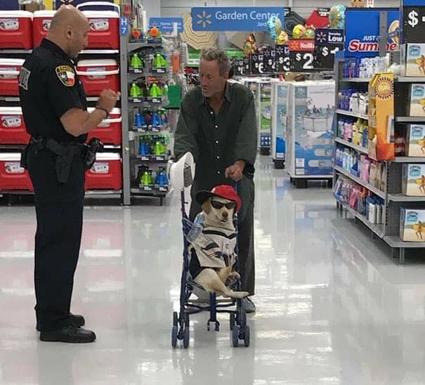 A dog wearing sunglasses and a hat sitting in a stroller inside a large retail store.