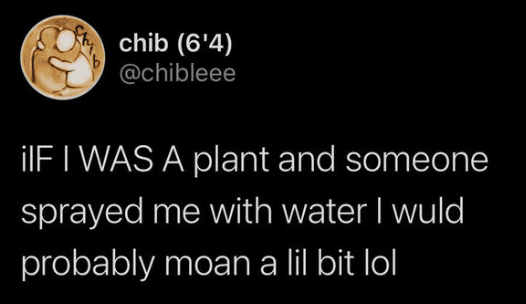 A dark-mode tweet from chib joking about how a plant might react to being watered.