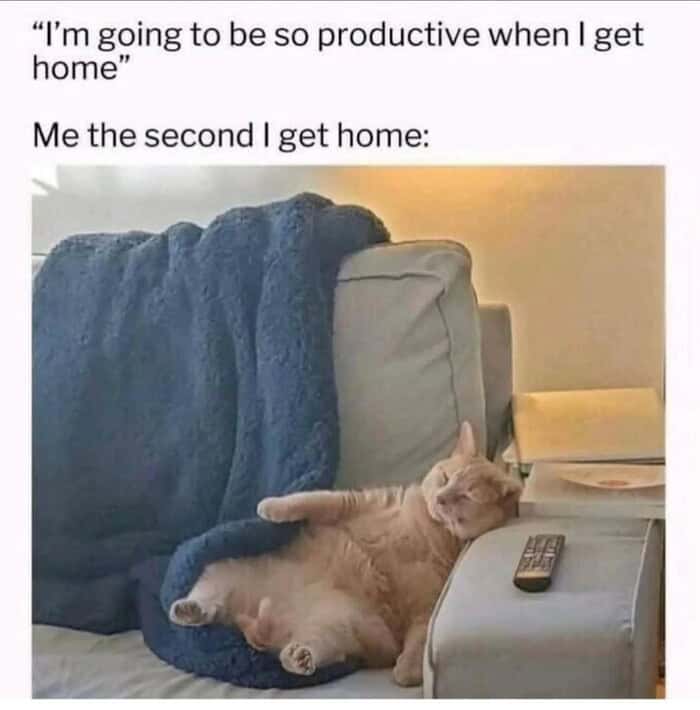 wholesome animal meme of a small dog with a smug, knowing smile. The caption reads: "When ur human says 'who's a good boy' and you already know it's you."