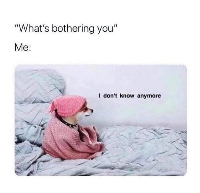 moody wholesome animal meme showing a small dog wrapped snugly in a pink towel, staring off into the distance with a pensive and overwhelmed expression. The text reads: "'What's bothering you' Me: I don't know anymore."