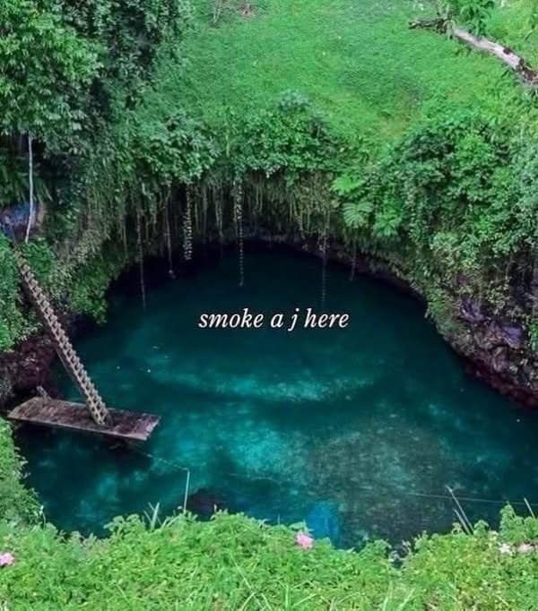 A breathtaking wholesome image of a hidden jungle cenote with turquoise water and a steep wooden ladder, captioned with the chill suggestion to "smoke a j here" for a moment of total tranquility.