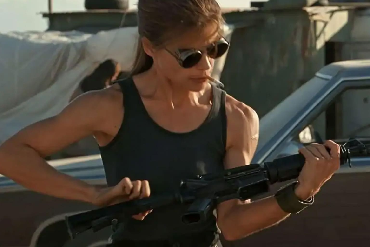 workout meme compilation: A collage featuring a SpongeBob comparison between whey protein and steroids, a heavy metal skeleton turning chicken into a mid physique, and a silverback gorilla delivering a philosophical lecture on lifting.