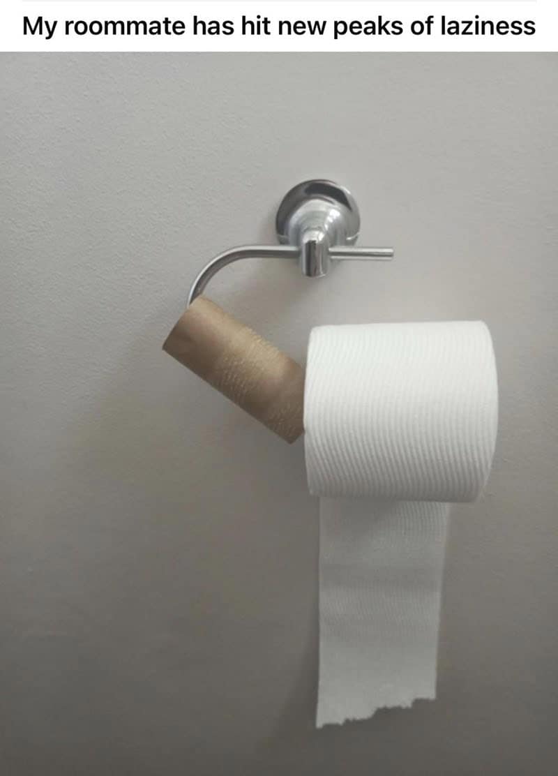 A hilarious exhibit of one of the worst roommates hitting "new peaks of laziness." Instead of removing the empty cardboard tube from the toilet paper holder, they have simply balanced a fresh roll of toilet paper on top of it.