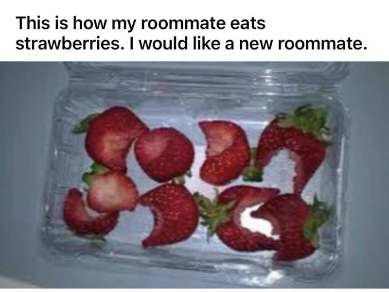 A baffling display of one of the worst roommates' eating habits. A plastic container of strawberries is shown, where every single berry has had a small, semi-circular bite taken out of the side, while the rest of the fruit remains untouched.
