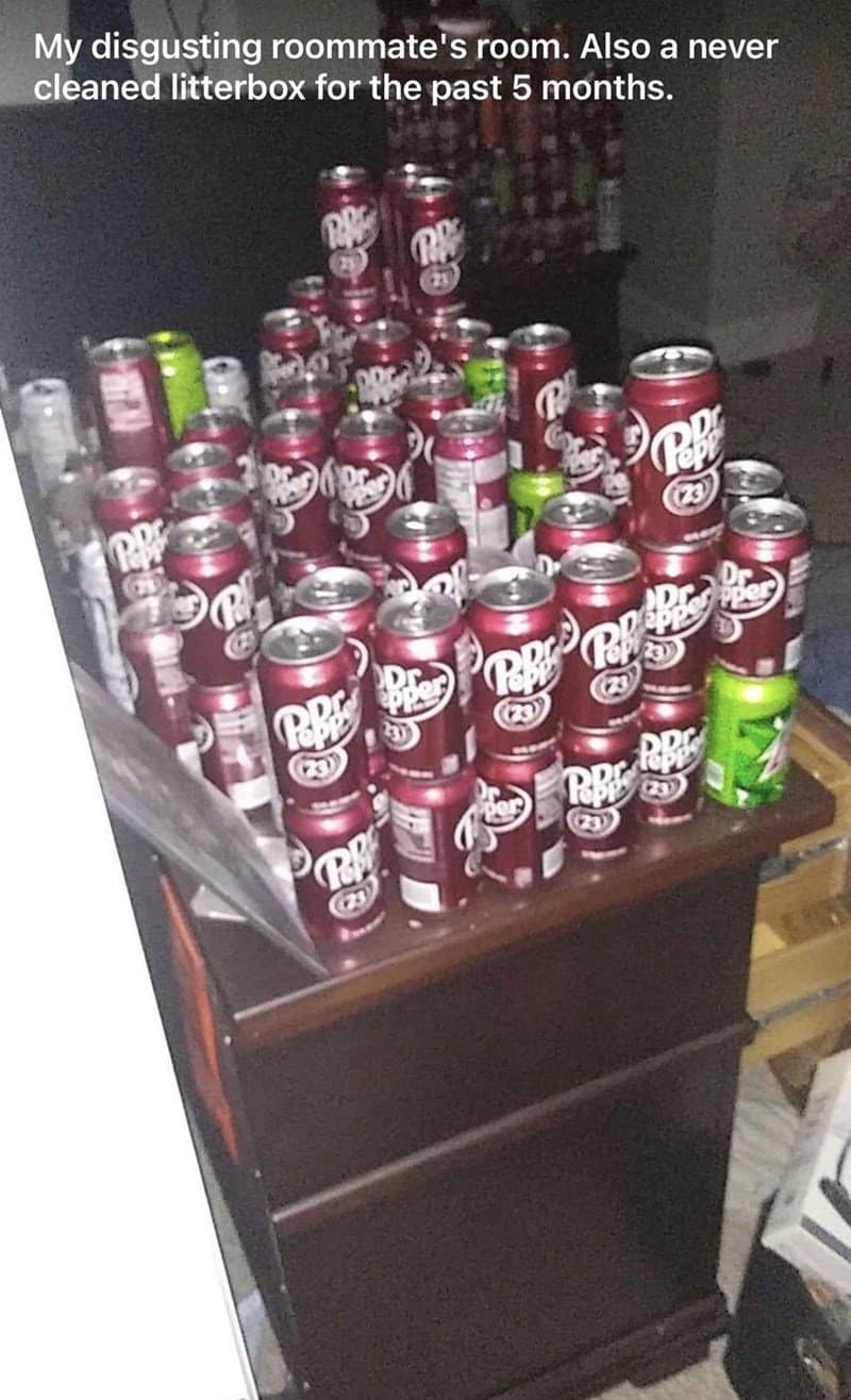 truly disgusting worst roommates bedroom reveal. A dark room shows a dresser overflowing with dozens of stacked, empty Dr. Pepper and Mountain Dew cans. The caption notes that the roommate also hasn't cleaned the cat's litterbox in 5 months.