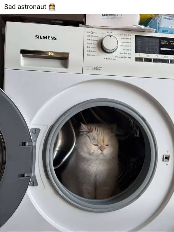Fluffy white cat sitting inside a front-loading washing machine labeled as a sad astronaut.