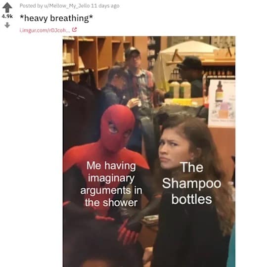 Hilarious Zendaya and Tom Holland meme where Tom passionately argues in his Spider-Man suit representing imaginary shower arguments, while Zendaya glares unamused representing the shampoo bottles.