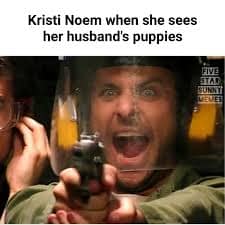 A dark humor Bryon Noem meme featuring a high-intensity still of Charlie Day from It's Always Sunny in Philadelphia screaming behind a riot shield while pointing a gun. The caption reads: "Kristi Noem when she sees her husband's puppies."