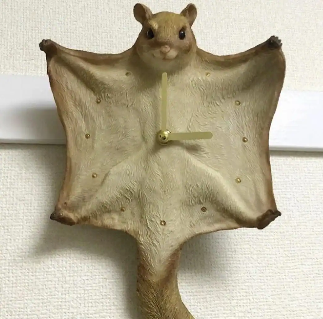 A bizarre wall clock sculpted as a realistic flying squirrel with its limbs splayed out, where the clock mechanism and hands are mounted directly in the center of the animal's furry belly.