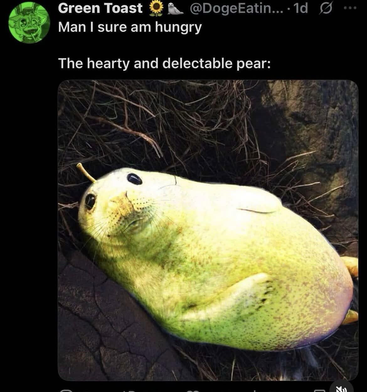 surreal and strangely cute classic meme featuring a seal's face perfectly blended into the body of a large, speckled green pear, captioned as a "hearty and delectable" snack.