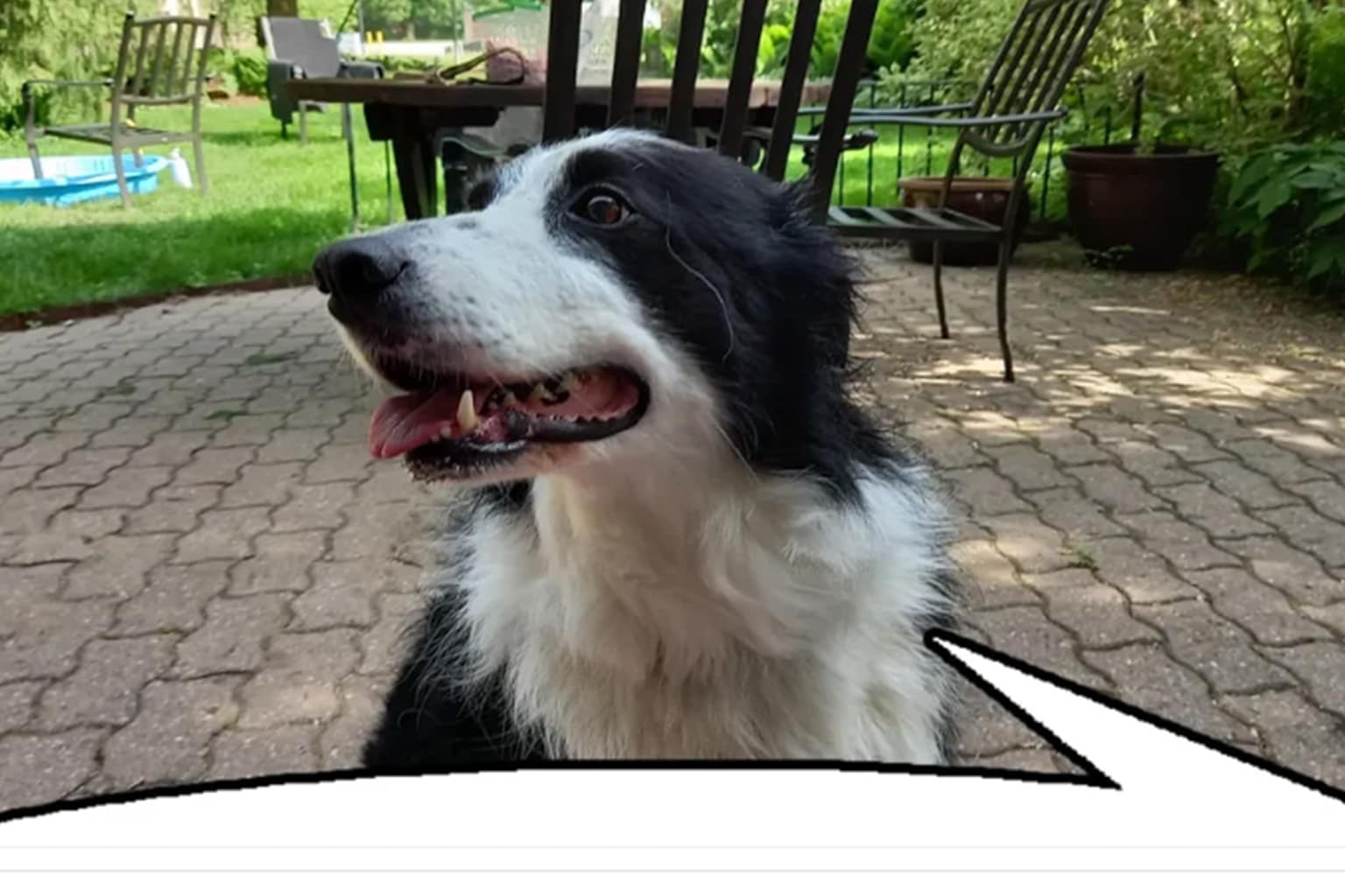 A compilation:of classic memes featuring King Charles edited with massive sausage fingers, a low-res Skyrim cheese wheel capable of "fixing" someone, and an unhinged conspiracy tweet about vapes being a "psyop" involving "robot dicks."