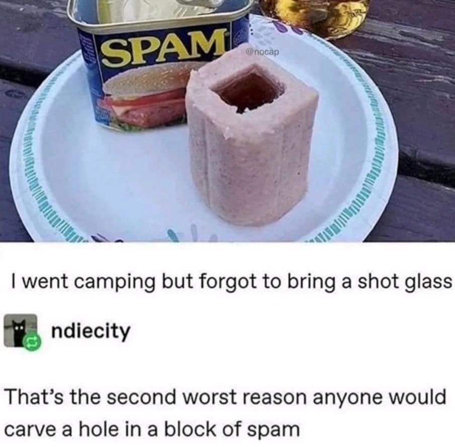 classic meme featuring a block of Spam with a square hole carved out of the center, used as a makeshift shot glass. A Tumblr comment below from "ndiecity" reads: "That’s the second worst reason anyone would carve a hole in a block of spam."