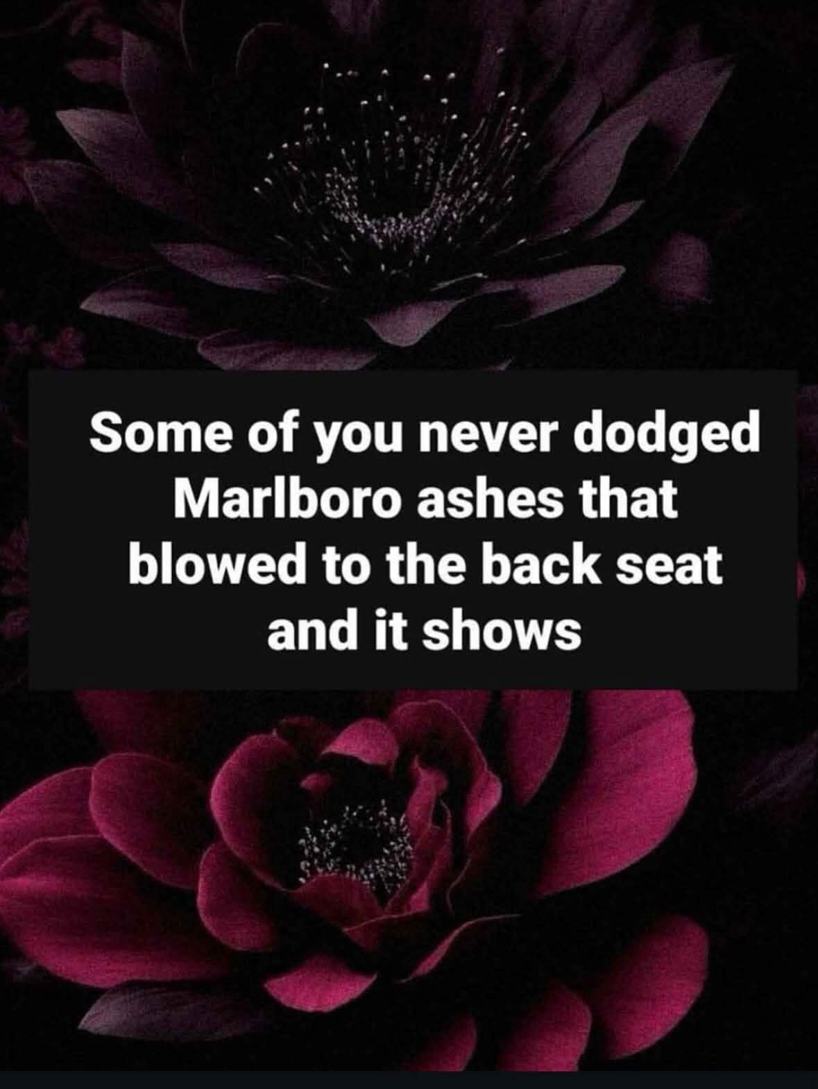 evocative classic meme text overlay on dark floral imagery. The text reads: "Some of you never dodged Marlboro ashes that blowed to the back seat and it shows," referencing a specific childhood experience.