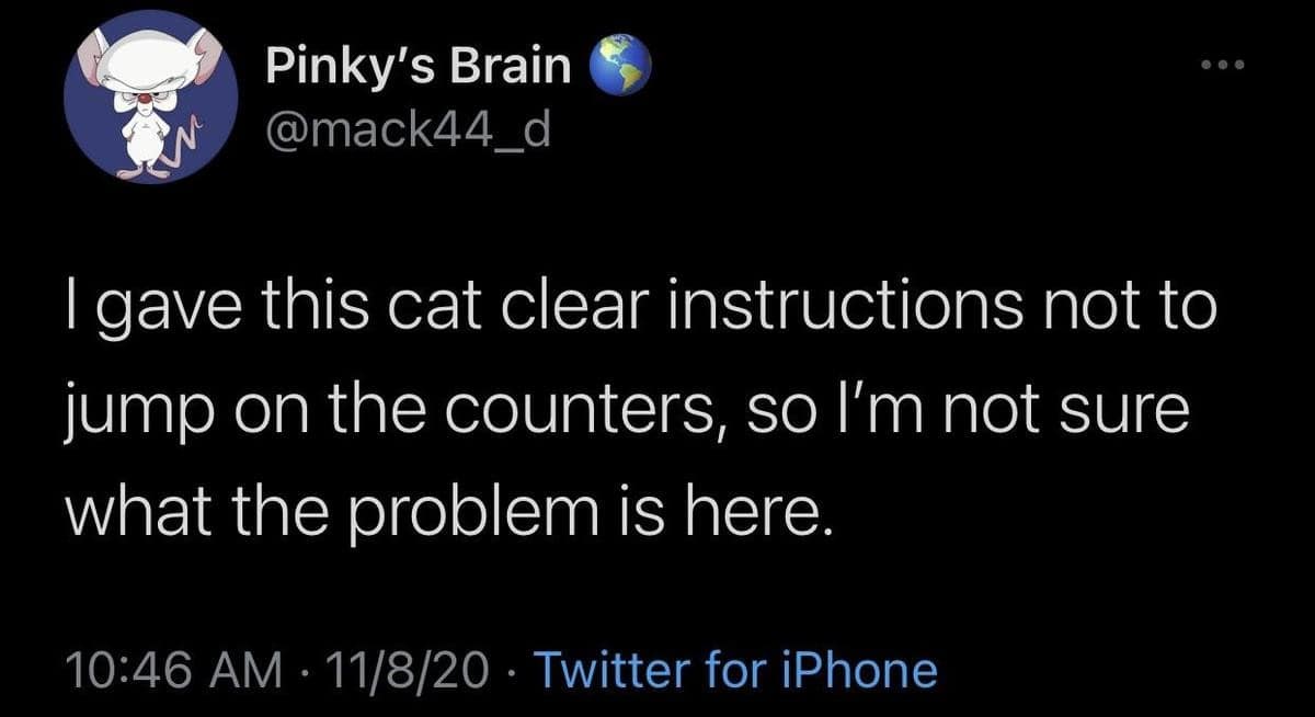 A sarcastic classic meme tweet by Pinky’s Brain that mocks the stubborn nature of pets: "I gave this cat clear instructions not to jump on the counters, so I'm not sure what the problem is here."