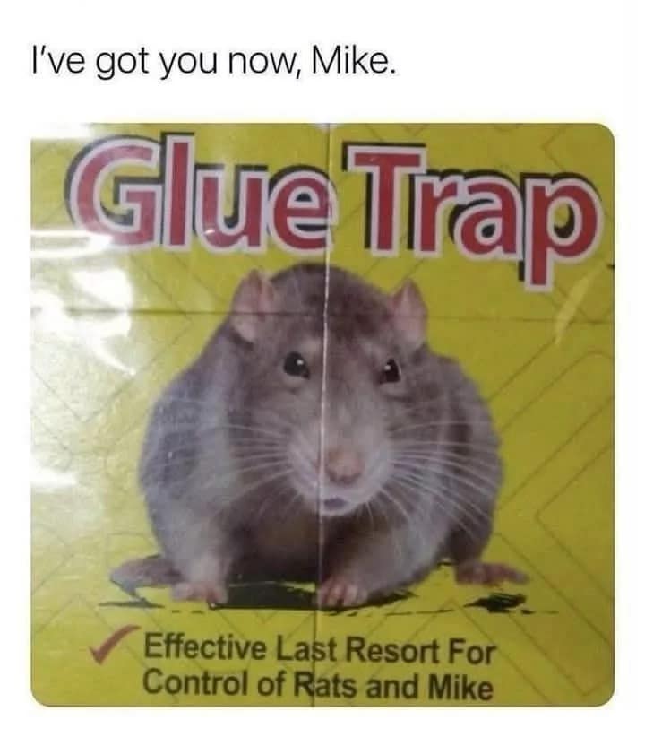 A hilarious classic meme showing the packaging for a pest control product. The label reads "Effective Last Resort For Control of Rats and Mike," with a caption above added by a user: "I've got you now, Mike."