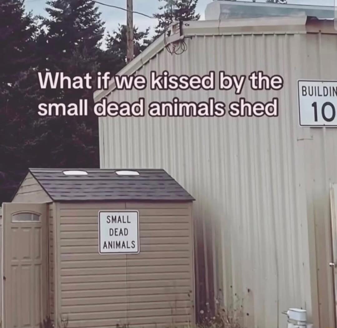 surreal classic meme showing a beige plastic shed with a sign that reads "SMALL DEAD ANIMALS." Overlaid text playfully asks, "What if we kissed by the small dead animals shed," parodying romantic "What if we kissed" memes.