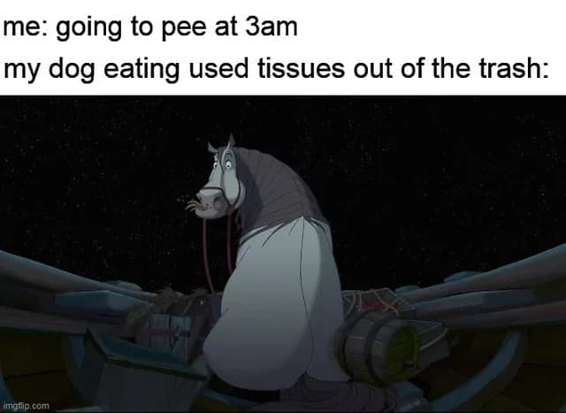 classic meme using a still from the animated movie The Road to El Dorado. It shows Altivo the horse looking guilty with hay in his mouth, captioned: "me: going to pee at 3am / my dog eating used tissues out of the trash."